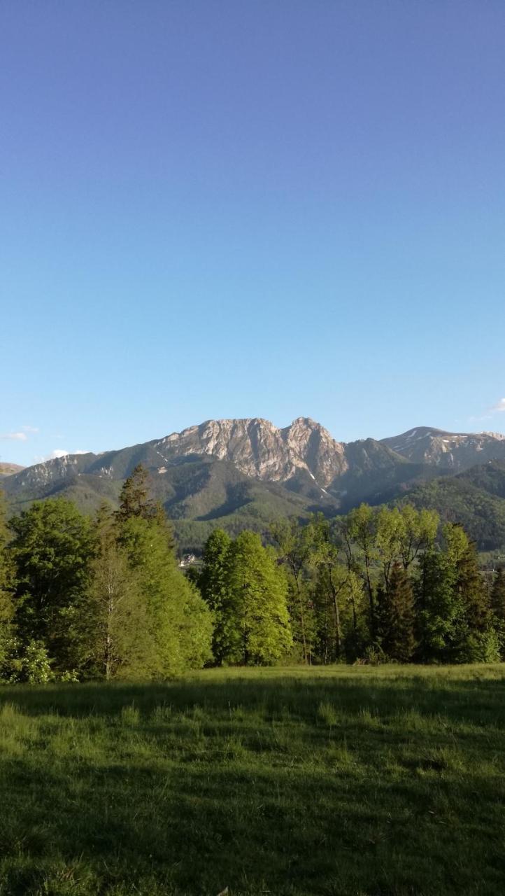 I Na Wyskowkach Jacuzzi & Sauna Chalet Zakopane